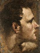 Domenico Beccafumi, Head of a Youth Seen in Profile